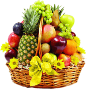 <br />
<b>Notice</b>:  Trying to get property 'name' of non-object in <b>/home/u354631491/domains/shivagroseeds.com/public_html/wp-content/themes/shopic/inc/elementor/widgets/product-categories.php</b> on line <b>807</b><br />
